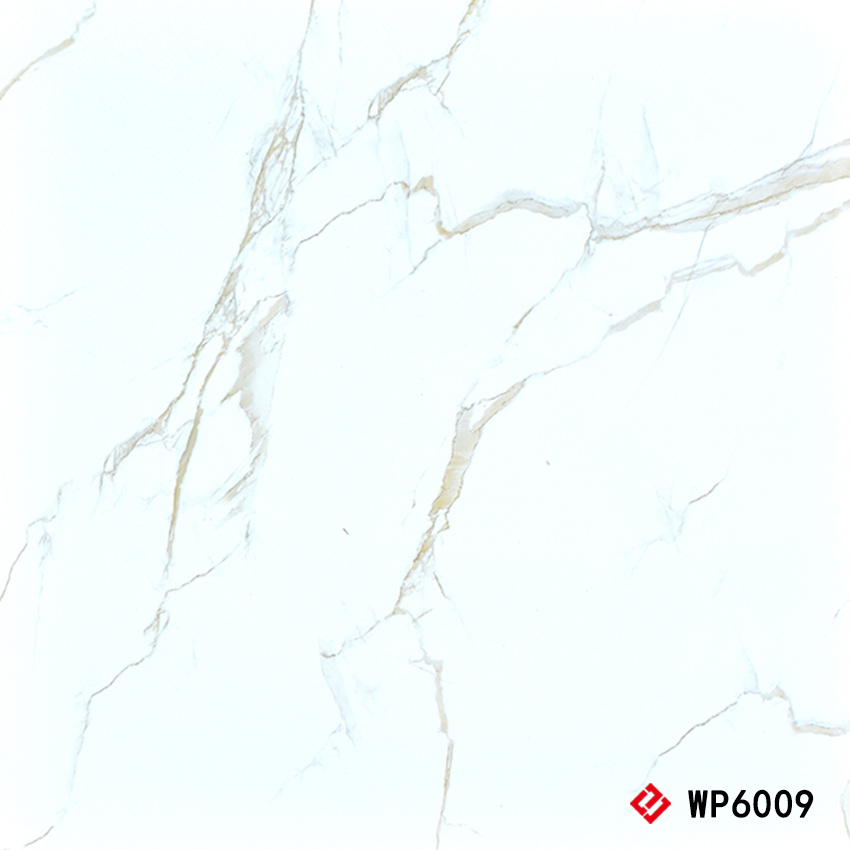WP6009 Glazed Tile 抛釉砖 600x600mm